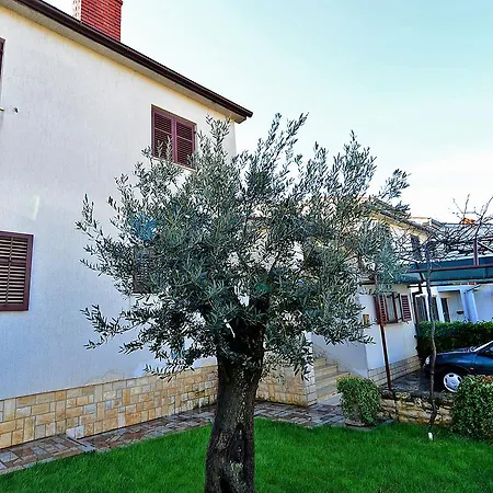 Apartmán Nelida 522